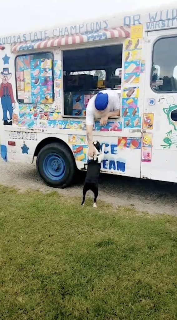 dog buys ice cream
