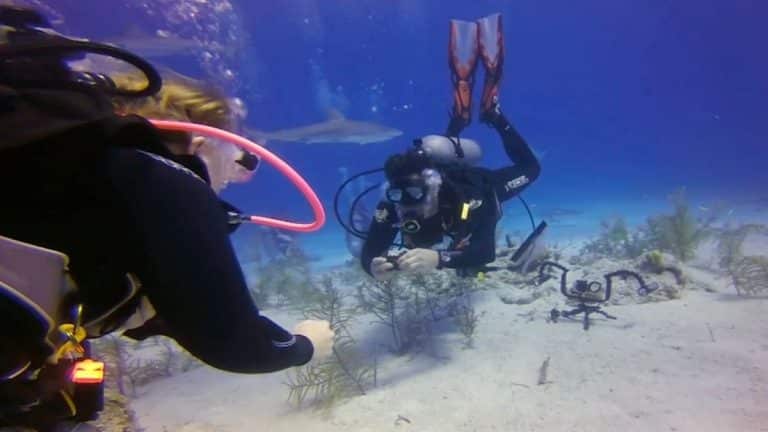 Woman Proposed To While Surrounded By Sharks