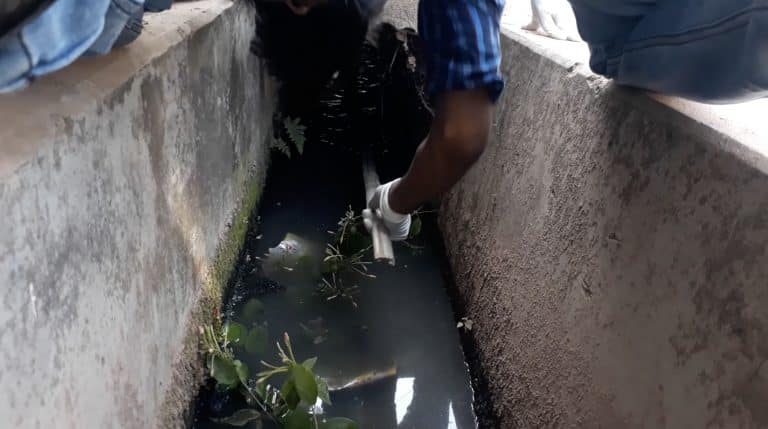 This Puppy Was Drowning In A Filthy Drainage Ditch, But Then These Heroes Came To Help