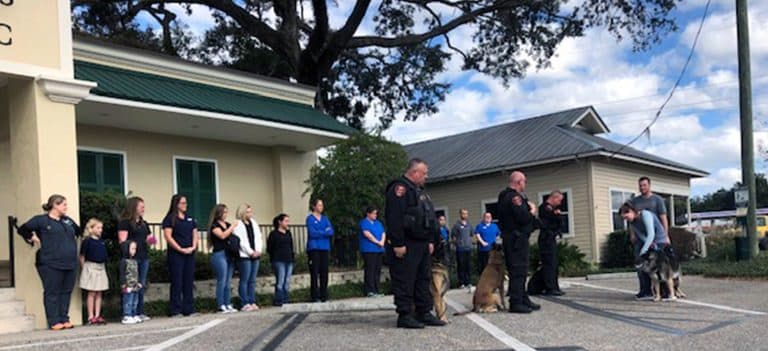 Aging Military Dog Gets Hero’s Send-off With Guard Of Honor