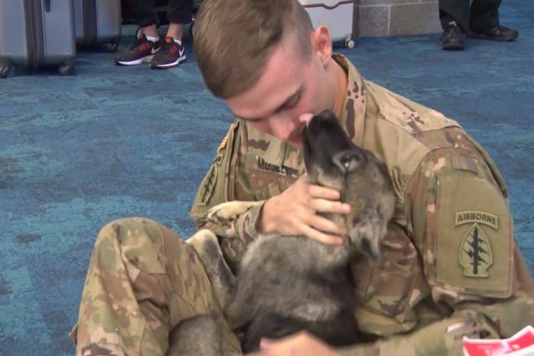 U.S. Soldier Adopts Syrian Puppy He Rescued While On Deployment