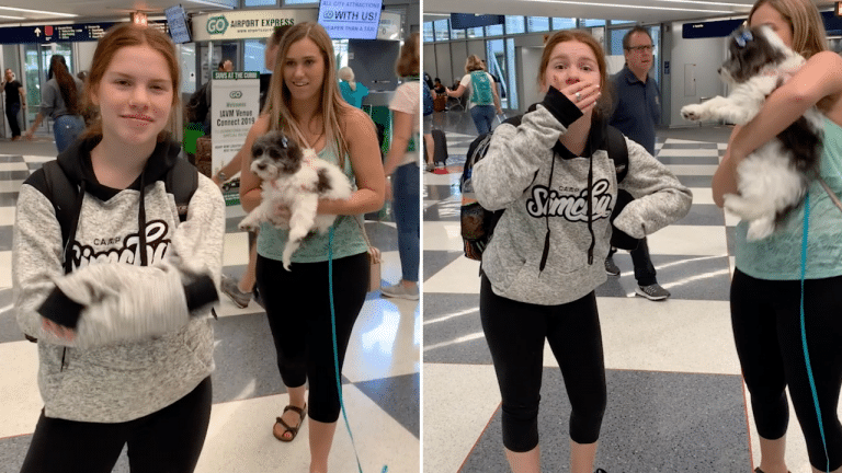 Adorable Moment Girl With Cerebral Palsy is Surprised With Therapy Puppy at Airport Upon Returning From Summer Camp