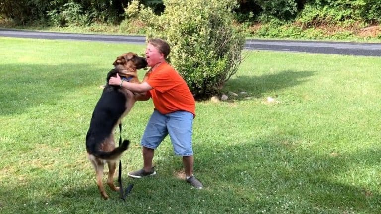 Boy Reunited With Service Dog After Camp