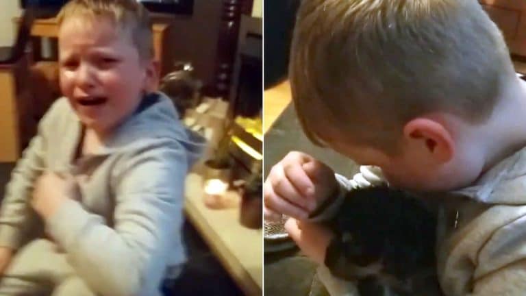 Boy With Autism Is Overjoyed When He Is Given Surprise Puppy – And Cries With Joy At His New Best Buddy