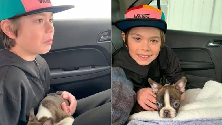 Heart-warming Moment Boy Gets a Boston Terrier Puppy For His Birthday As A Gift From His Late Father Who Arranged It Before He Died From Cancer Heart-warming Moment Boy Gets a Boston Terrier Puppy For His Birthday As A Gift From His Late Father Who Arranged It Before He Died From Cancer
