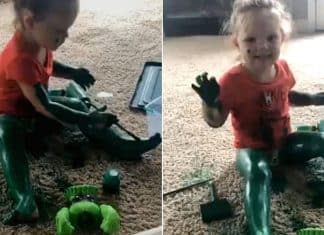 Incredible Hulk toddler