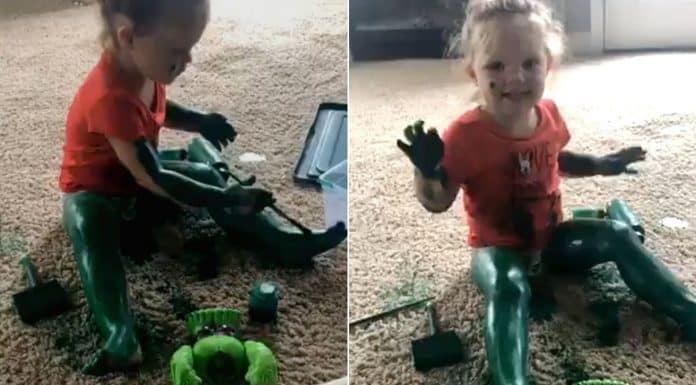 Incredible Hulk toddler