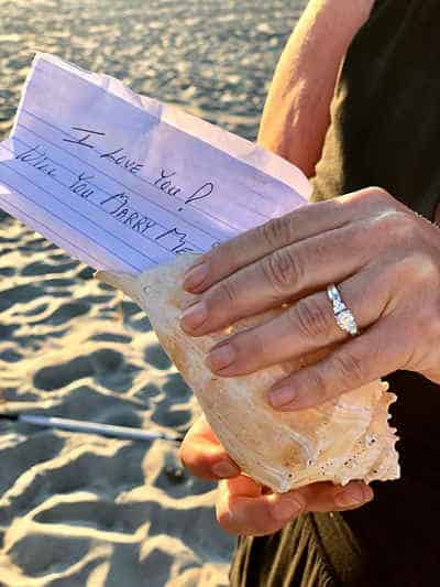 Conch shell proposal