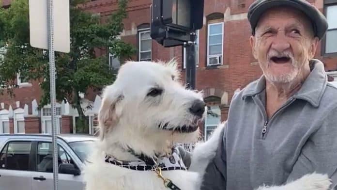 dog reunited with neighbor