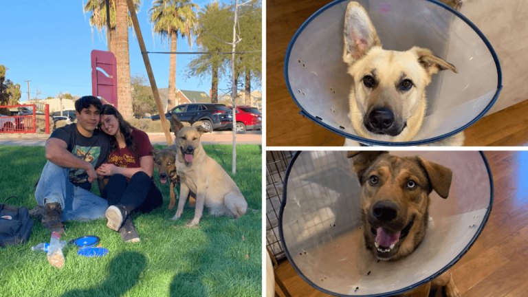 Two Dogs Abandoned in Park With Help Note and Food Bowls Given New Leash of Life After Being Rescued by Passerby