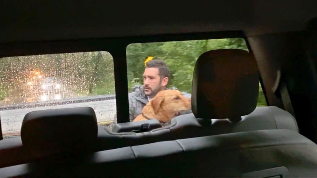 The man and his dog in the back of the flatbed truck.