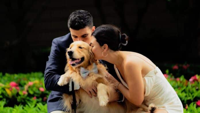 Glyn, Shannon and golden retriever Charlie.