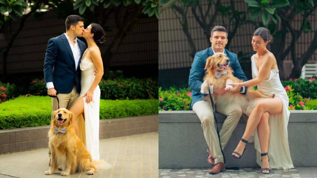 Shannon, Glyn and golden retriever Charlie pose for wedding photos.