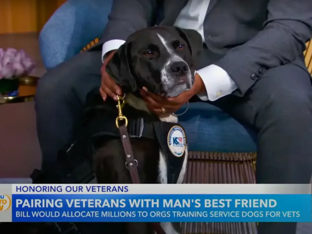 Doc, loving life on GMA.