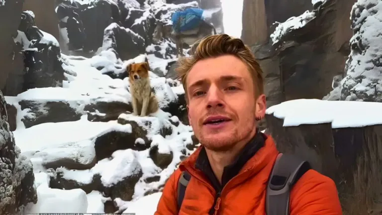 Hiker Saved by Stray Dog Who Guided Him to Safety on Peruvian Mountain Trek