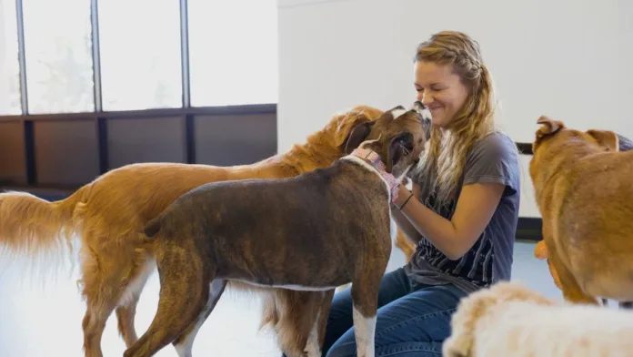 A smiling young woman sits on the floor surrounded by friendly dogs, one of which is licking her nose.