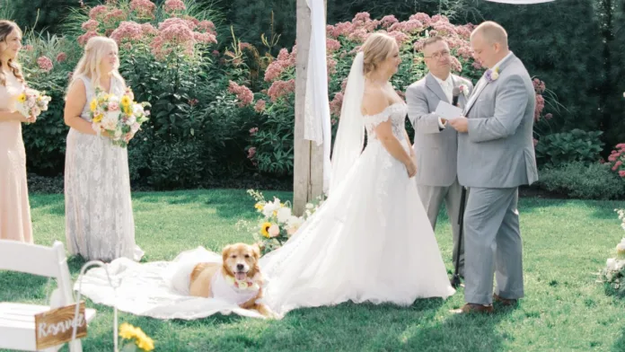 A golden retriever dog wearing a white tutu lies on a blanket at the feet of a bride during an outdoor wedding ceremony, as the bride and groom stand before the officiant.