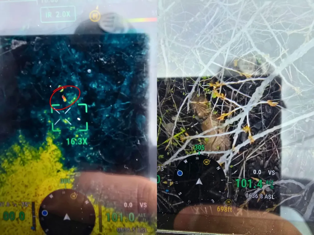 Drone imagery of Frank being located.