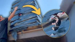A man reaches up to tear open a large, shrink-wrapped pallet as a kitten begins to fall out; a yellow arrow highlights the exact moment of rescue.
