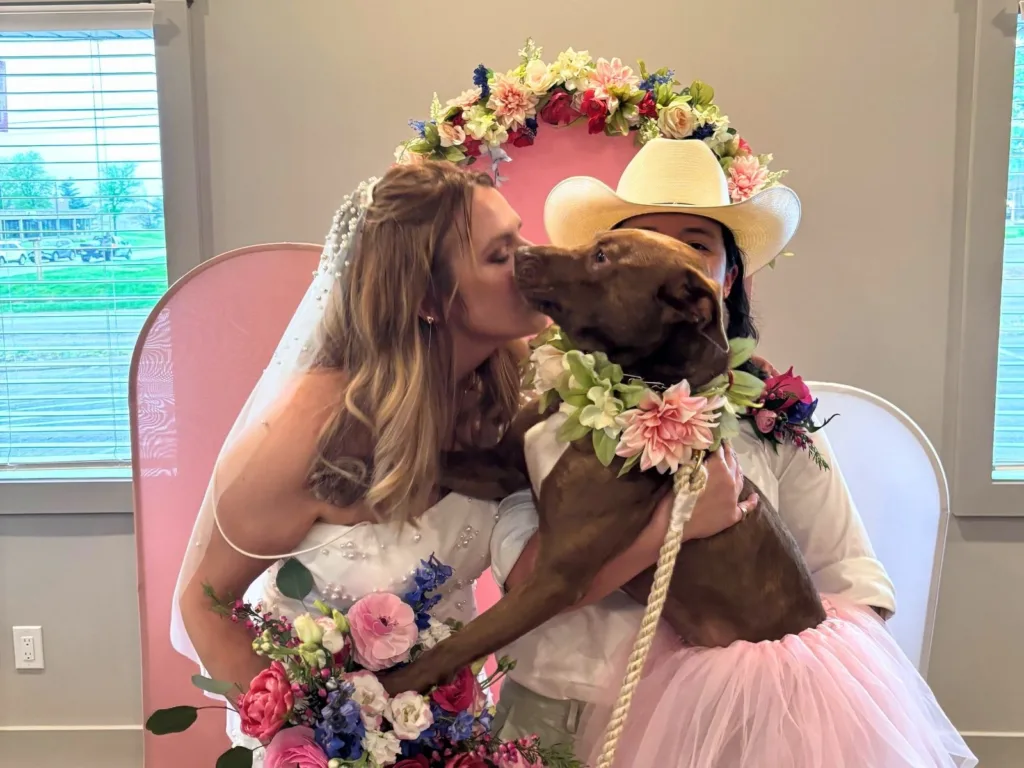 A bride kisses a brown rescue dog being held by her partner, with a floral wedding backdrop behind them.