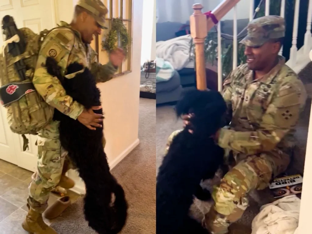 Split-screen shows a soldier in camouflage smiling as a black Goldendoodle repeatedly jumps up to greet him indoors.