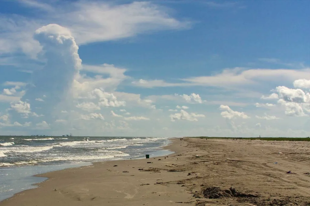 Louisiana's Elmer's Island